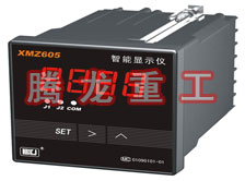 溫度表、數(shù)字顯示儀、濕度表