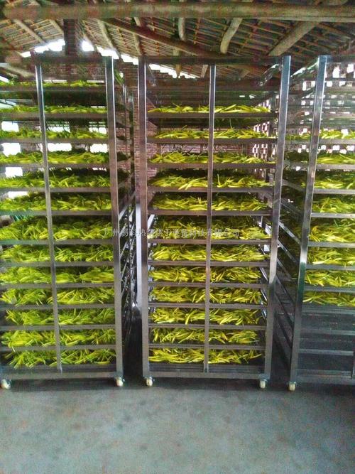 黃花菜烘干機(jī)、黃花菜烘干設(shè)備、黃花菜干燥機(jī)、黃花菜干燥設(shè)備、